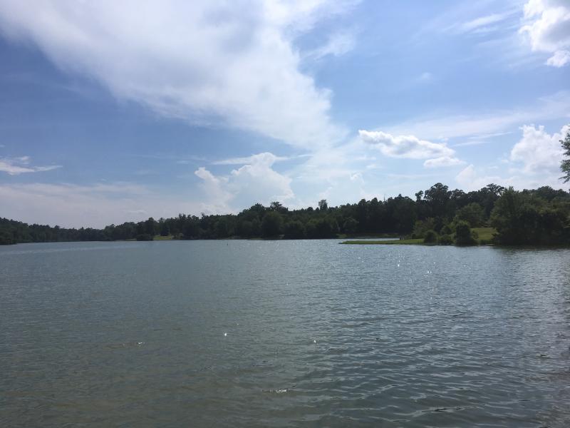 Barbour Lake Scene 2